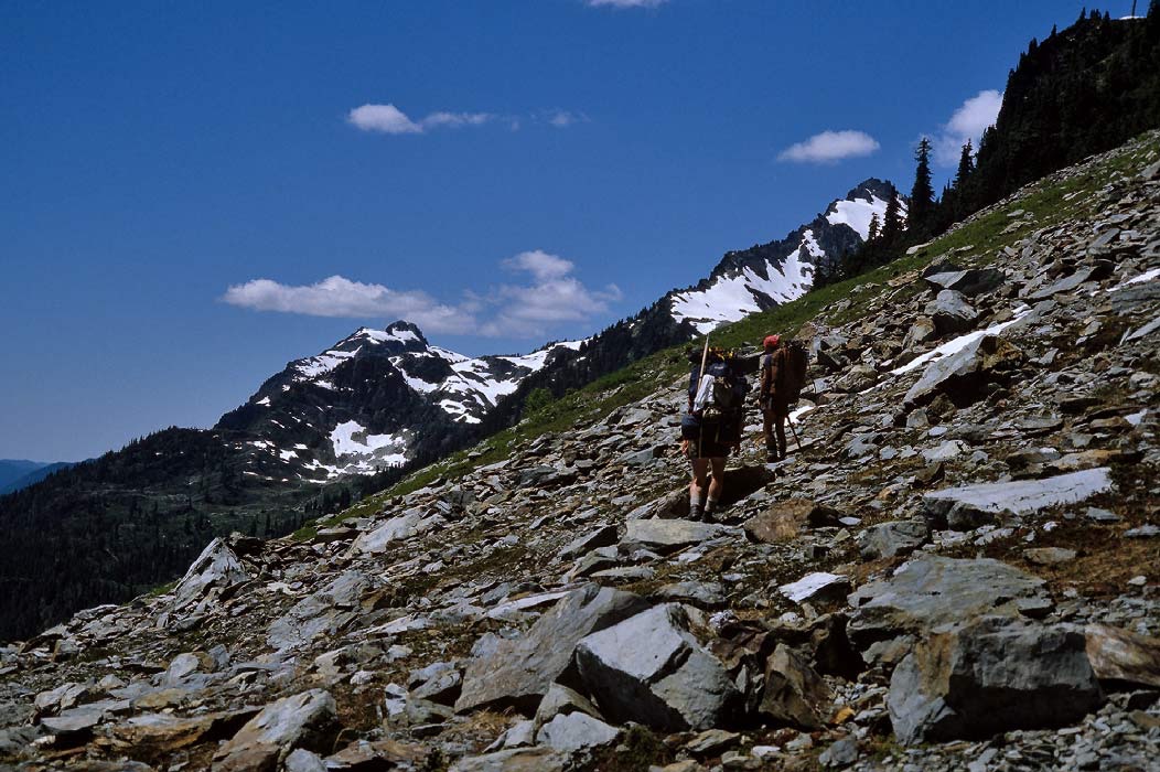 198706225 ©Tim Medley - Queets Basin, Olympic National Park, WA