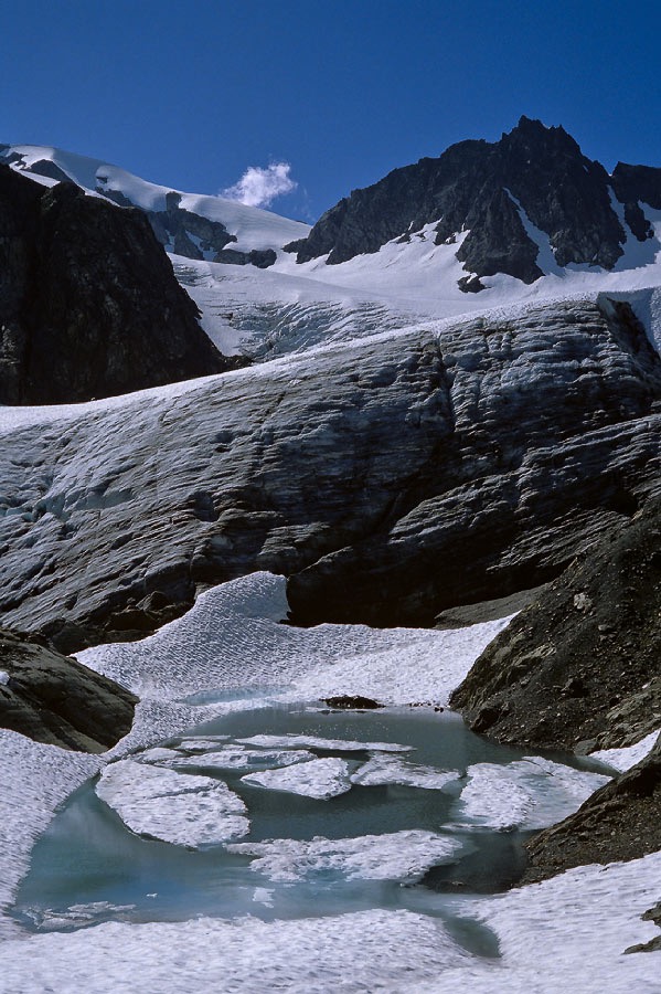 198706233 ©Tim Medley - Humes Glacier, Olympic National Park, WA