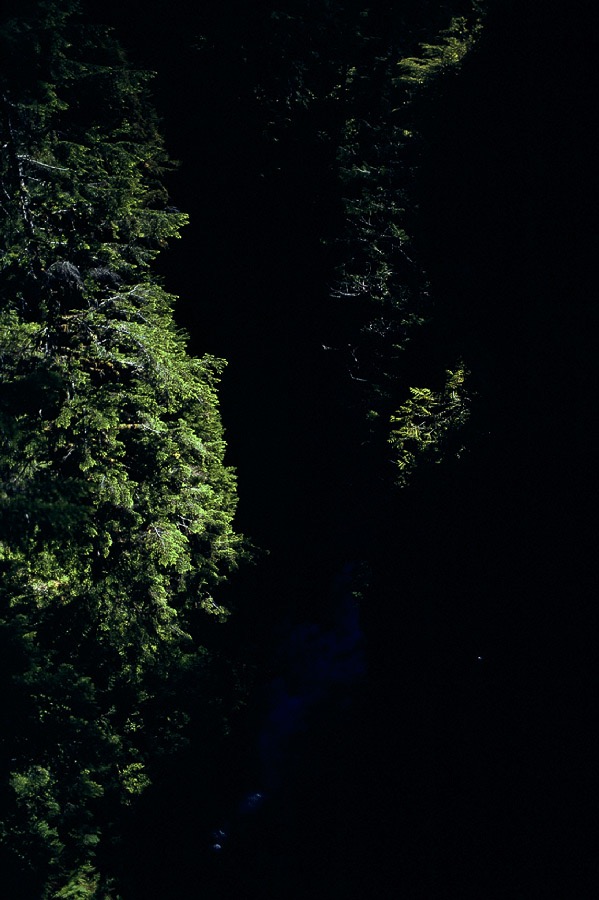198706401 ©Tim Medley - Upper Hoh River, Olympic National Park, WA