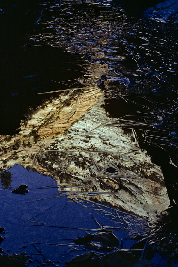 198700436 ©Tim Medley - Reflection, Echo Canyon Trail, Zion National Park, UT