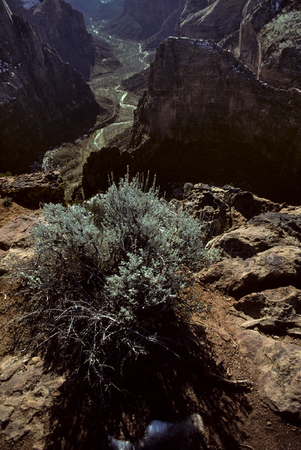 198700509 ©Tim Medley - Observation Point, Angels Landing, Zion National Park, UT