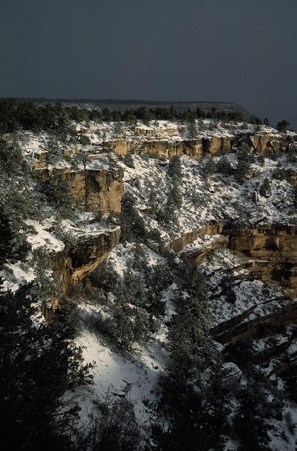 198701233 ©Tim Medley - South Rim, Grand Canyon National Park, AZ