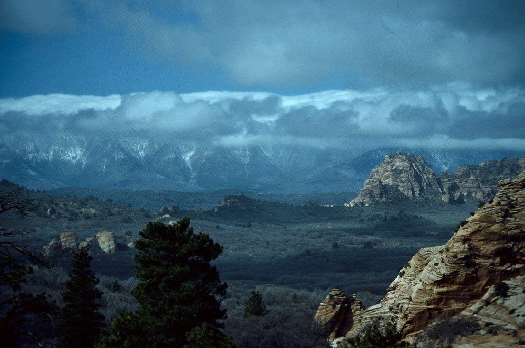 198701501 ©Tim Medley - Kolob Canyons, Zion National Park, UT