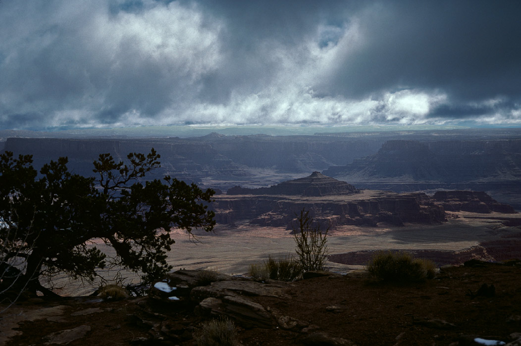 198701830 ©Tim Medley - Lathrop Canyon Trail, Island In the Sky, Canyonlands National Park, UT
