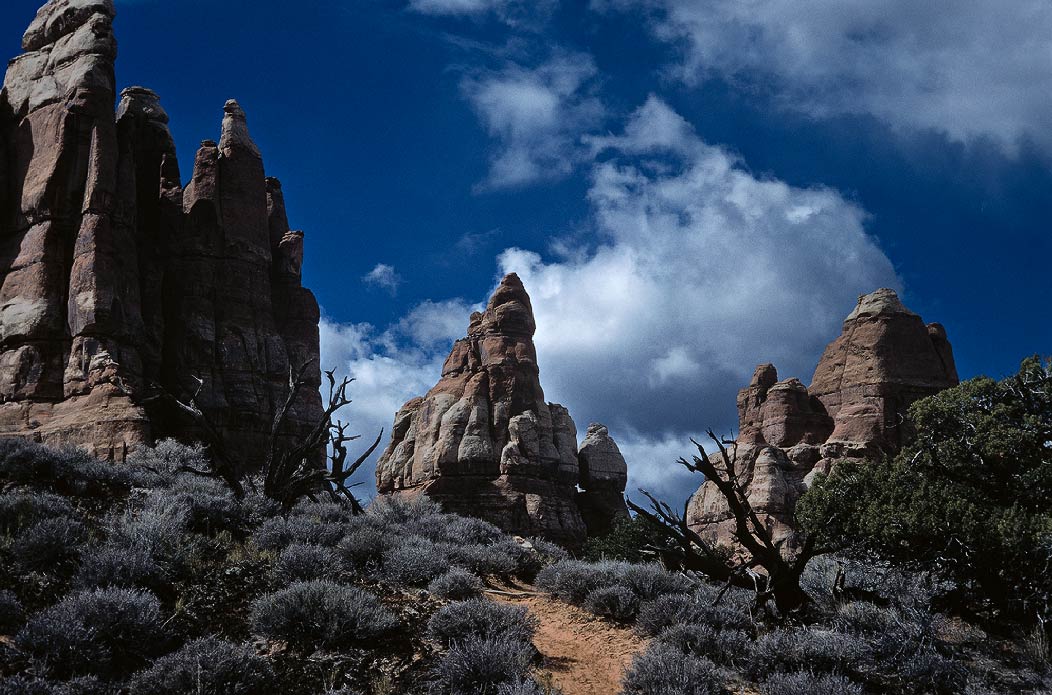 198702025 ©Tim Medley - Chesler Park, The Needles, Canyonlands National Park, UT