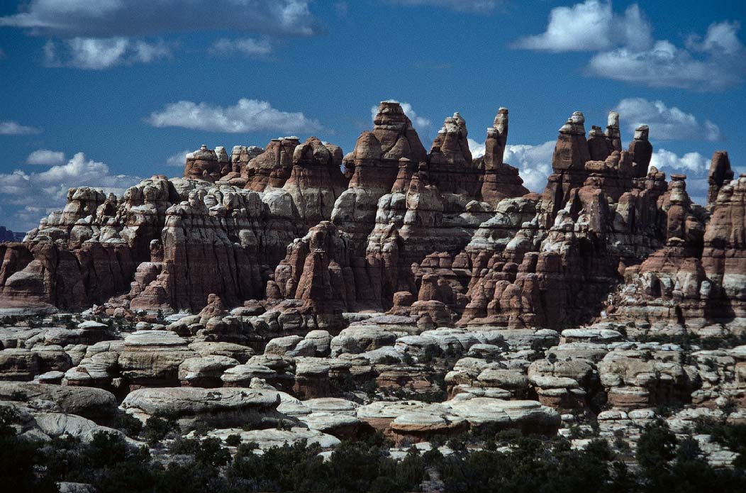 198702106 ©Tim Medley - Chesler Park, The Needles, Canyonlands National Park, UT