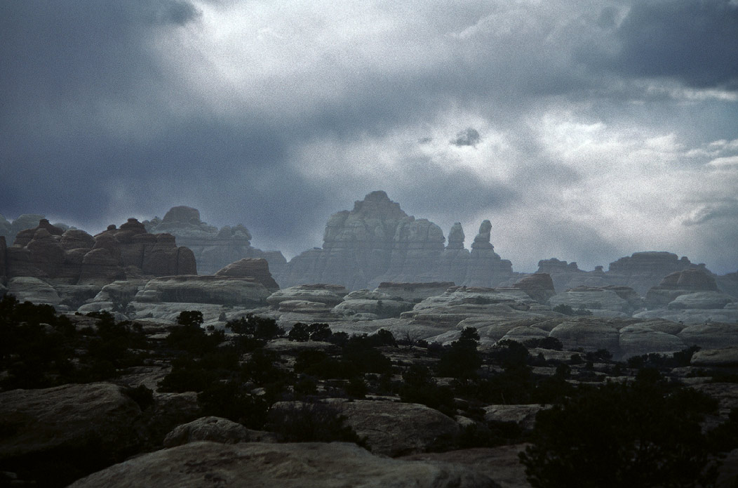 198702131 ©Tim Medley - Chesler Park, The Needles, Canyonlands National Park, UT