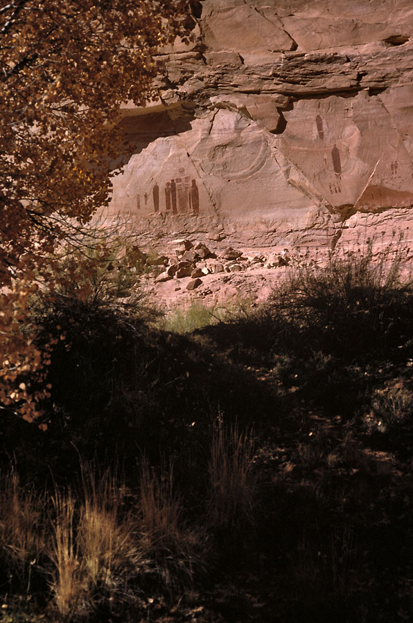 198711815 ©Tim Medley - Petroglyphs, Canyonlands National Park, UT