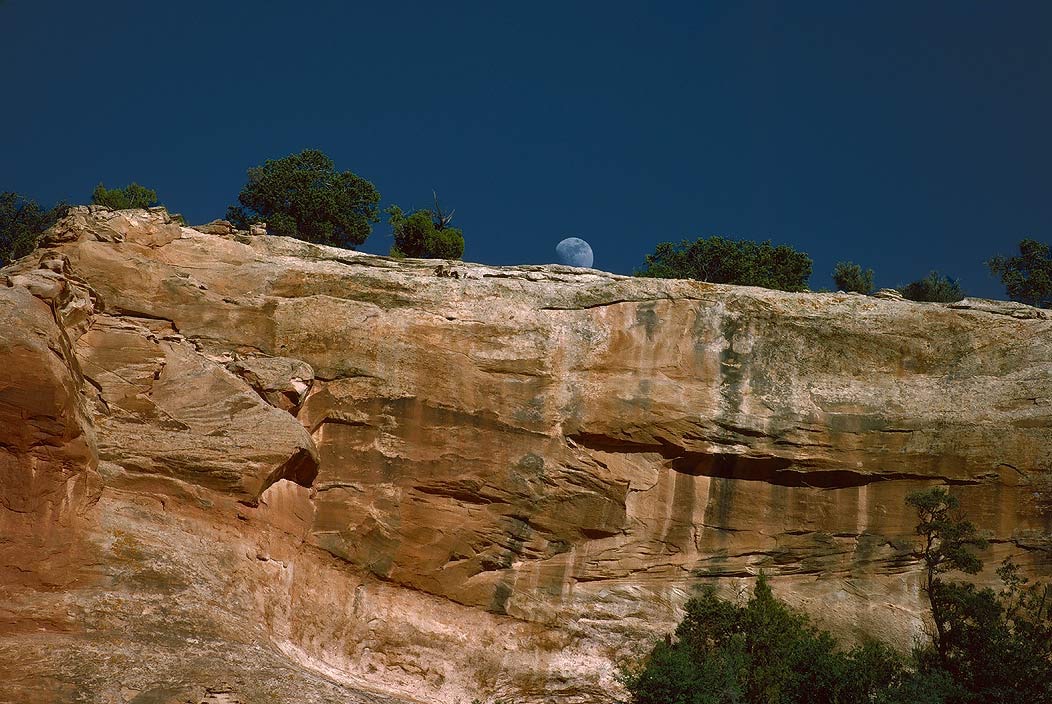 1993UT0116 ©Tim Medley - Canyonlands National Park, UT
