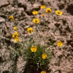 1993UT0118.jpg