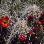 1993UT0127.jpg