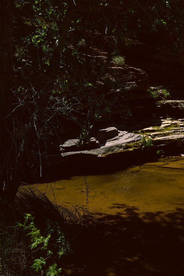 1993UT0128 ©Tim Medley - Harts Spring, Harts Spring Draw, UT