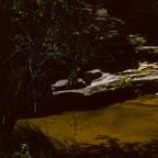 1993UT0128.jpg