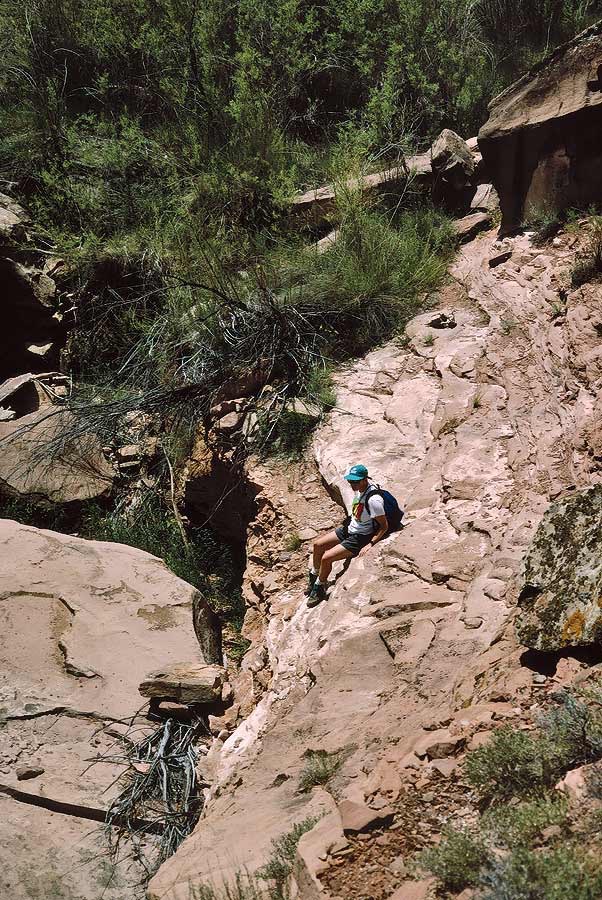 1993UT0129 ©Tim Medley - Harts Spring Draw, UT