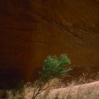 1993UT0132.jpg