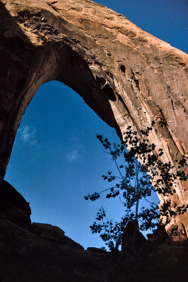 1993UT0307 &copy;Tim Medley - Broken Bow Arch, Hole-in-the-Rock Road, Glen Canyon NM, UT