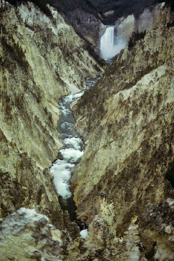 198610MT0801, ©Tim Medley - Lower Falls, Grand Canyon of the Yellowwtone, Yellowstone NP