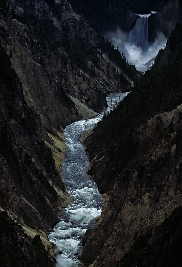 198704413 ©Tim Medley - Lower Falls, Yellowstone Canyon, Yellowstone National Park, WY