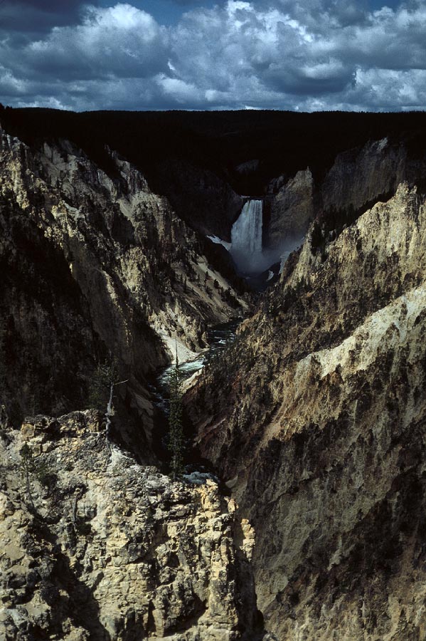 198704435 ©Tim Medley - Lower Falls, Yellowstone Canyon, Yellowstone National Park, WY